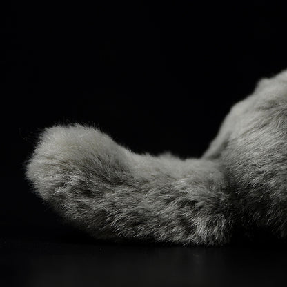 Cute Doll Simulation Cat Plush Toy