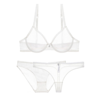 Transparent mesh bra set