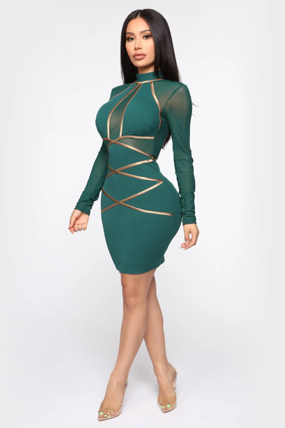 Ladies Long Sleeve Mesh Dress