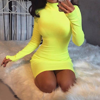 Half-high collar long sleeve dress