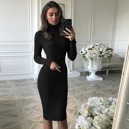 Ladies Fashion Slim Long Sleeve Turtleneck Dress