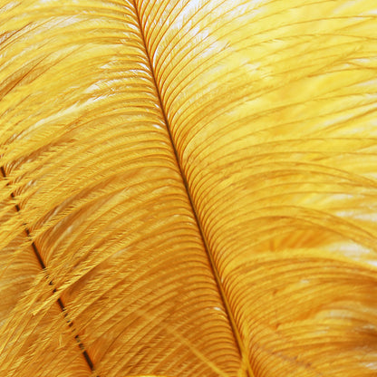 Catwalk Women's Shoes Rhinestone Feather Nightclub High Heels