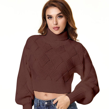 Women's Loose Solid Color Turtleneck Sweater