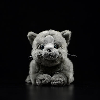 Cute Doll Simulation Cat Plush Toy